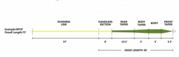 FLC # 2 Small Water Fly Line