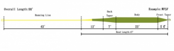 FLC # 7 Weight Forward Fly Line